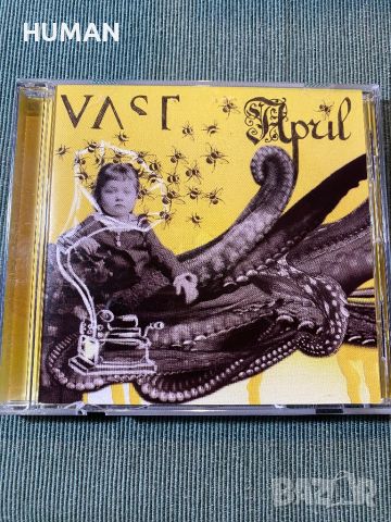 VAST,Beto Vasquez,Nightwish,Evanescence, снимка 5 - CD дискове - 45607903