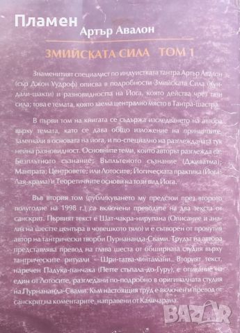 Змийската сила. Том 1: Кундалини-шакти Артър Авалон, снимка 2 - Други - 46598475