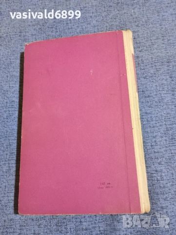 Теодор Фонтане - Ефи Брист , снимка 4 - Художествена литература - 53641741