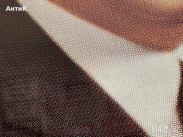 Голям Портрет на Тодор Живков, снимка 6 - Антикварни и старинни предмети - 54118683