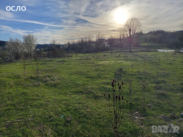 Продава парцел в Троян, снимка 9 - Парцели - 18645626