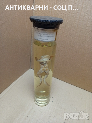 Стара Образователна Препарирана Жаба. 