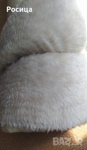 Булана с къс косъм