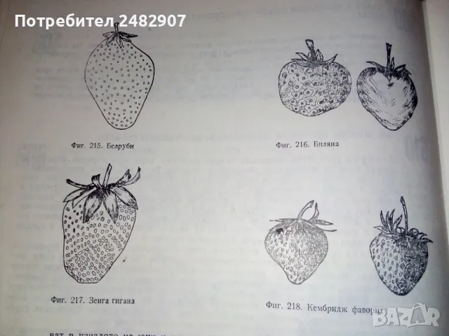 "700 съвета за любителя овощар" , снимка 7 - Специализирана литература - 48176712