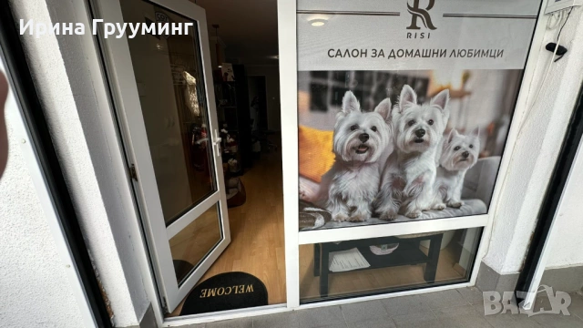 Отдава се под наем оборудван грууминг салон за кучета в София