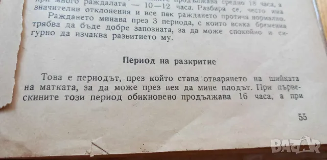 Книга за бременни и майки - Г. Стоименов, Р. Семерджиева, снимка 5 - Художествена литература - 46851588