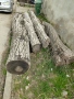 Дървен материал на трупи , снимка 10