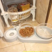 Двойна поилка и посуда за храна за котки или кучета - КОД 3636, снимка 11 - Други стоки за животни - 45075298
