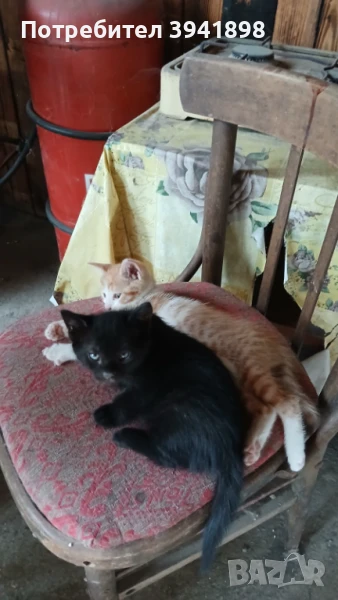 продавам, снимка 1