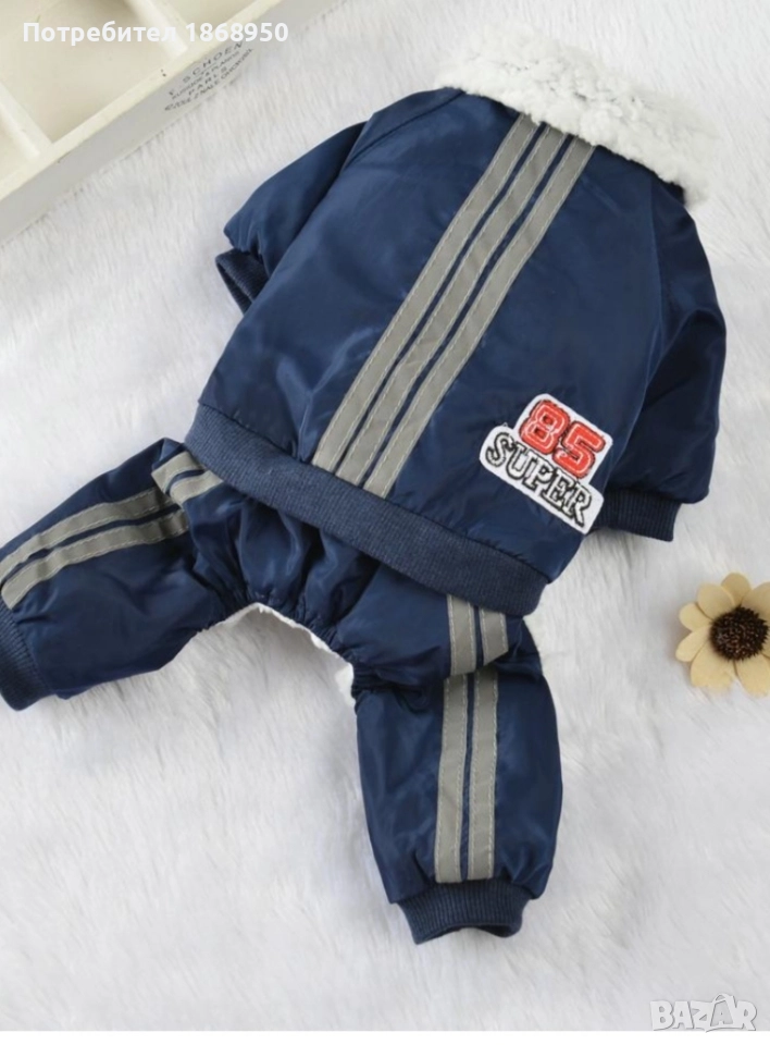 Зимен гащеризон за малка порода куче, снимка 1