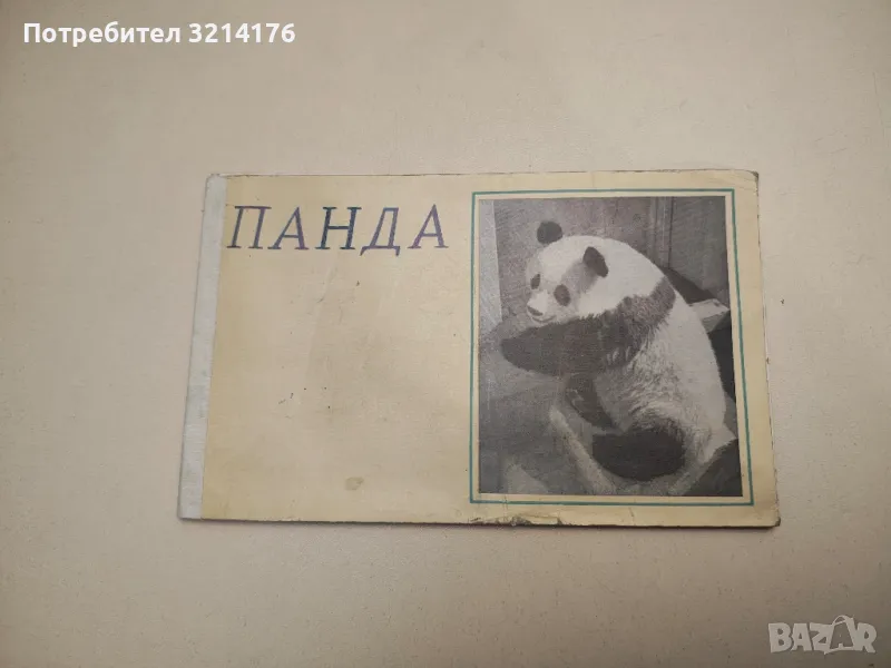 PANDA postcards booklet-set of 12pc, снимка 1