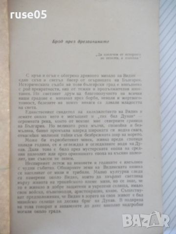 Книга "Видин - Димитър Куртев" - 68 стр., снимка 3 - Специализирана литература - 46174848