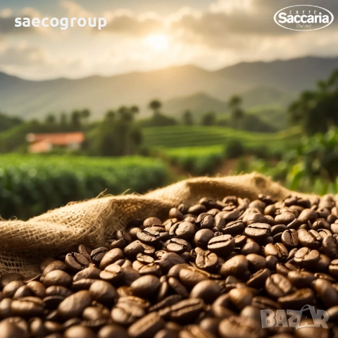 Кафе на зърна  Saccaria Robusto  1882, снимка 9 - Други - 53230131