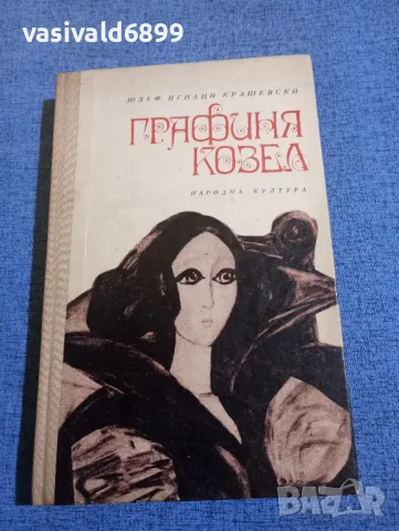 Юзеф Крашевски - Графиня Козел 