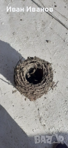 Бодлива тел от комунизма