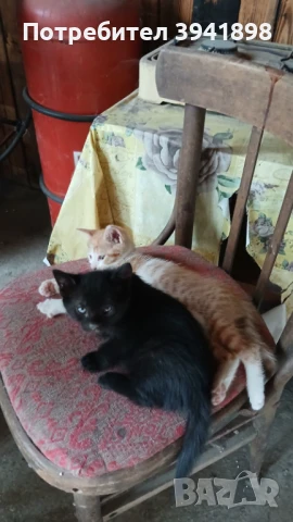 продавам, снимка 1