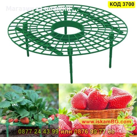 Иновативна стойка за ягоди против вредители и гниене - КОД 3700, снимка 1 - Други - 45098399