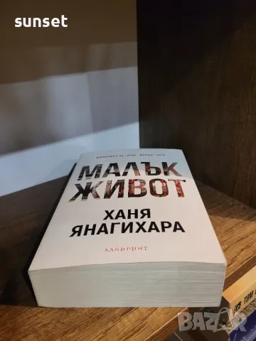 Малък живот от Ханя Янагихара( на английски и български език), снимка 5 - Художествена литература - 48329118