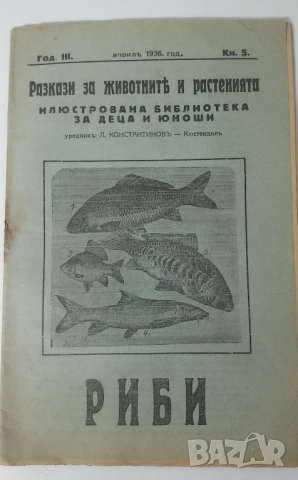 Разкази за животнитѣ и растенията - 17 книжки от 1933, 1934, 1935, 1936 и 1937 г., снимка 15 - Антикварни и старинни предмети - 51053512