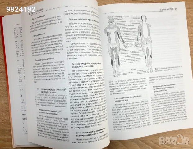 Неврология за общопрактикуващи лекари, снимка 5 - Специализирана литература - 48026868