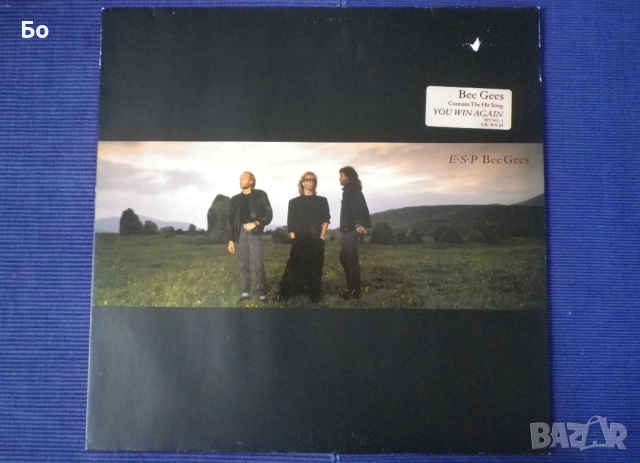 грамофонни плочи Bee Gees, снимка 4 - Грамофонни плочи - 52325291
