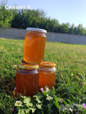 Мед, снимка 5 - Пчелни продукти - 46389554