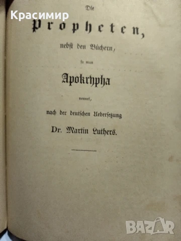 Библията на Лутер 1893 г., снимка 10 - Антикварни и старинни предмети - 51000438