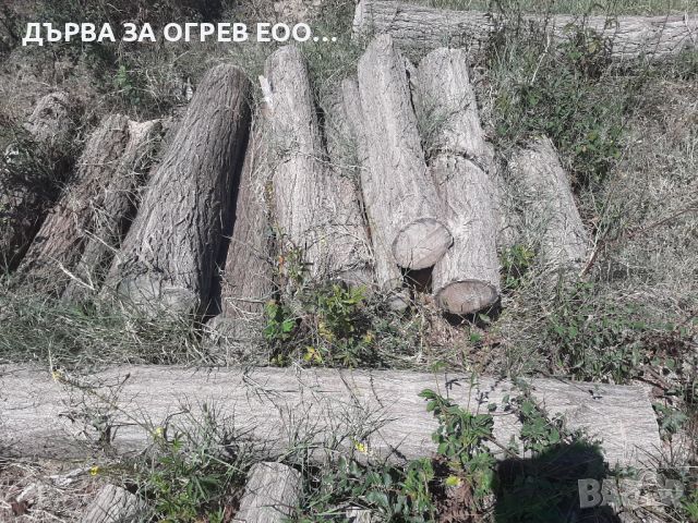 предлагам дърва за огрев метровки акация , снимка 1 - Дърва за огрев - 46808059