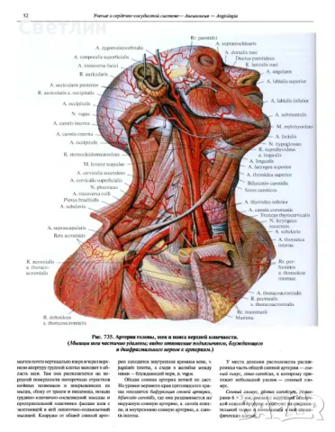 Продавам Руски атласи по медицина., снимка 7 - Електронни книги - 48460842