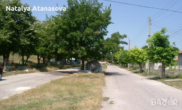 Парцел за продажба в Бдинци, Добрич, снимка 2 - Парцели - 53635006