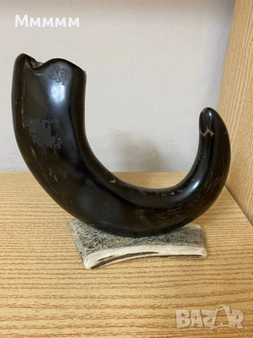 Рог за декорация