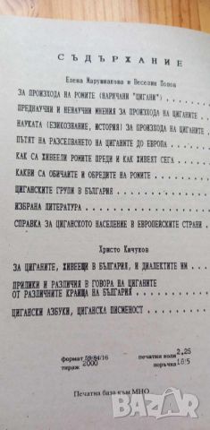 Примерни беседи за произхода, историята, езика и културата на ромите - книга за учителя, снимка 10 - Специализирана литература - 46791142