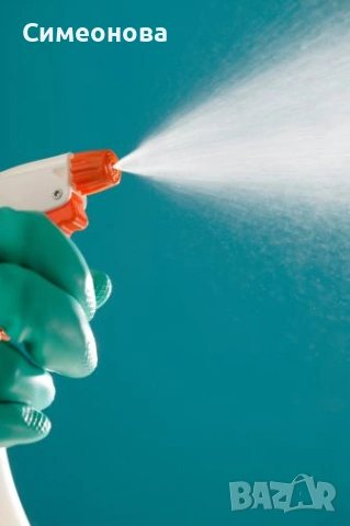 Почистване и подръжка на домове и дворове , снимка 2 - Хигиенисти и миячи - 53954902