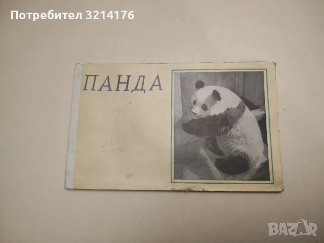 PANDA postcards booklet-set of 12pc, снимка 1 - Други - 48769594