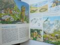 Книга Тайните на животните. Том 3: В планините; В саваните - Мишел Кюизен 1992 г., снимка 4