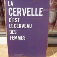 Метална табела надпис за мозъка на жените мозъци френски език, снимка 1 - Декорация за дома - 45710971
