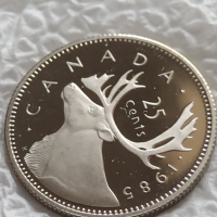 Лот монети 12 броя Канадски долари, центове непипани мат гланц перфектно състояние 42642, снимка 4 - Нумизматика и бонистика - 45021211