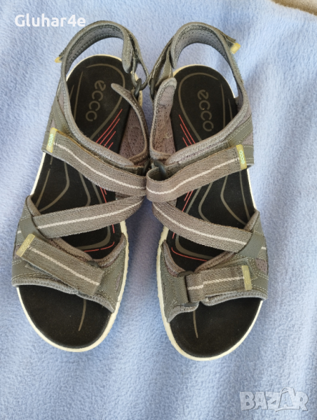 Ecco номер 41., снимка 1