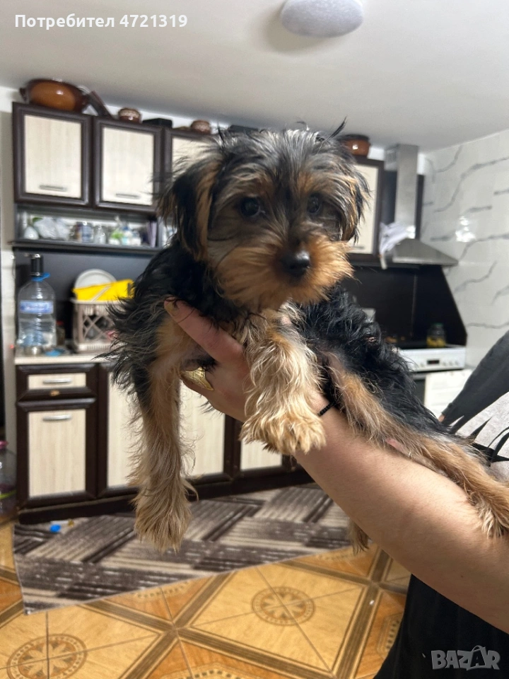 Продава се, снимка 1