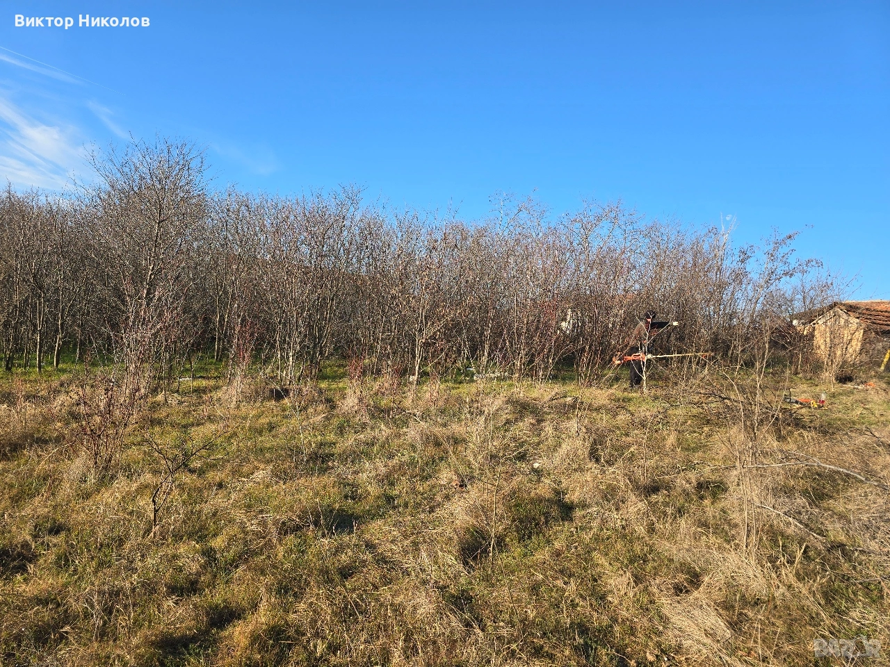 почистване на дворове , снимка 1