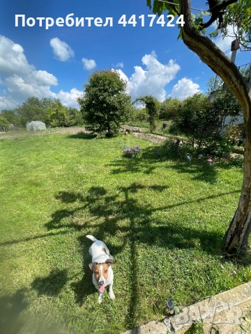 Къща вила с. Иглика област Шумен, снимка 5 - Къщи - 51882523