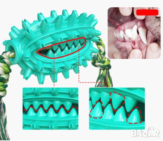 Играчка кактус – четка за зъби за домашни любимци, снимка 10 - За кучета - 46363356