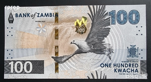 Замбия .10 , 20, 50 и 100 квача. 2024 год. Най новата серия. UNC., снимка 10 - Нумизматика и бонистика - 50056376