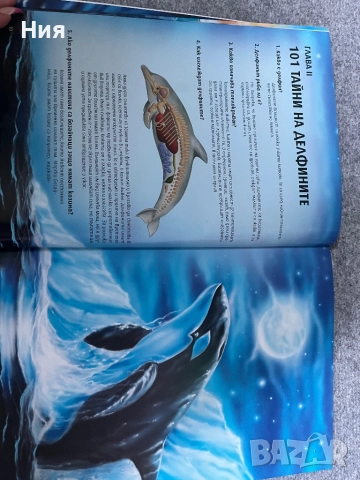 101 Тайни на делфините, снимка 2 - Други - 51647944