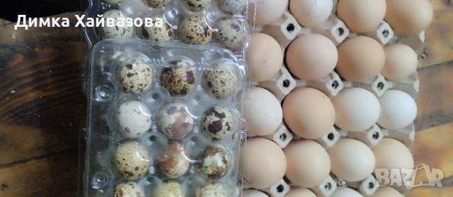 Домашни яйца от кокошки и пъдпъдъци