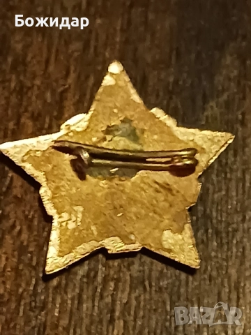 Емайлова Значка. БПС. 70те.г., снимка 2 - Колекции - 51790888