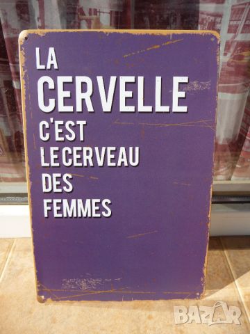 Метална табела надпис за мозъка на жените мозъци френски език, снимка 1 - Декорация за дома - 45710971