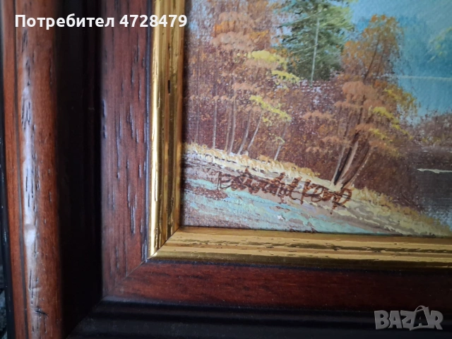 Картини маслени с красиви рамки и подпис на художника., снимка 3 - Декорация за дома - 53704932