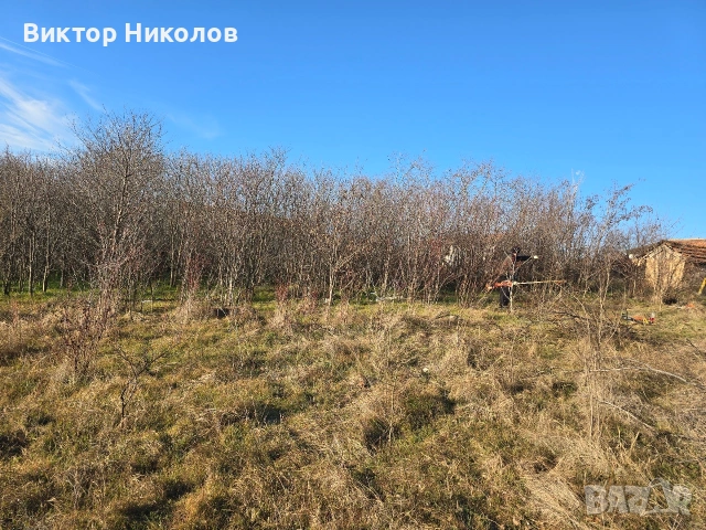 почистване на дворове 