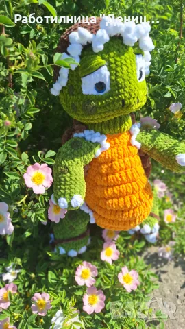 Костенурка , снимка 5 - Други - 50173845